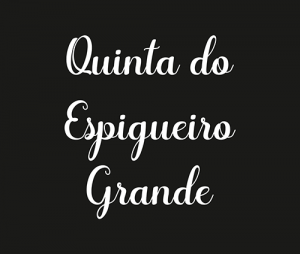 Quinta Do Espigueiro Grande - LOGO CORES